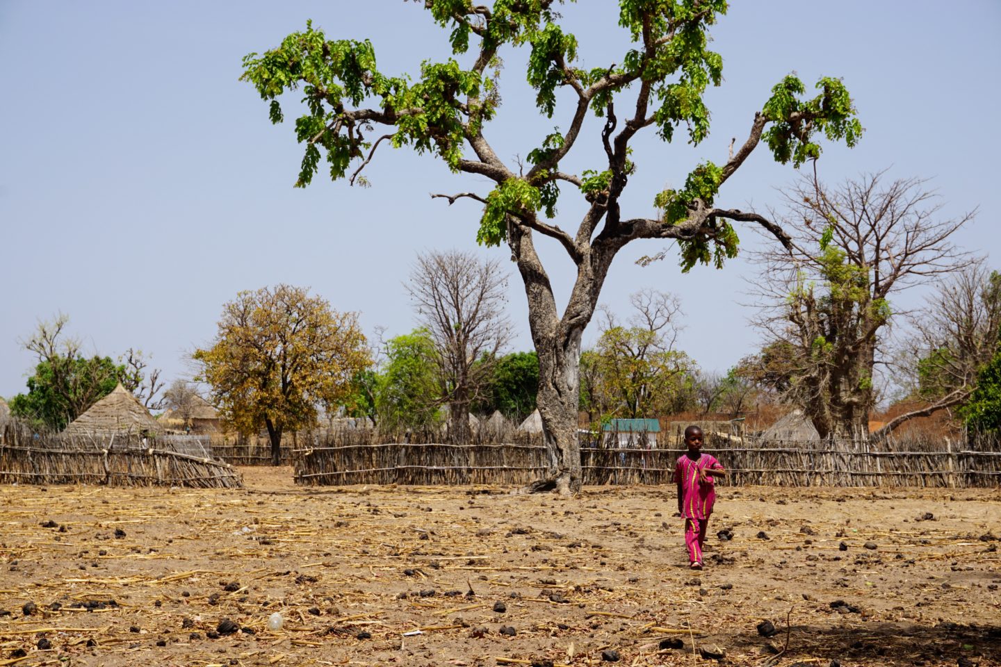 Luchando contra la crisis climática en Senegal