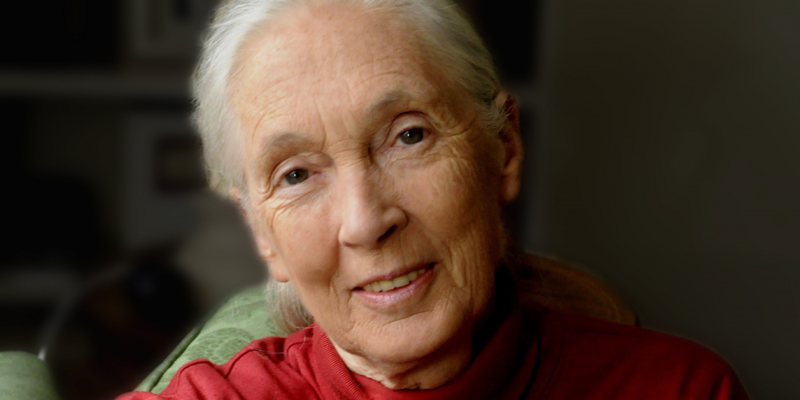 Mensaje de la Dra. Jane Goodall por el Día de San Valentín