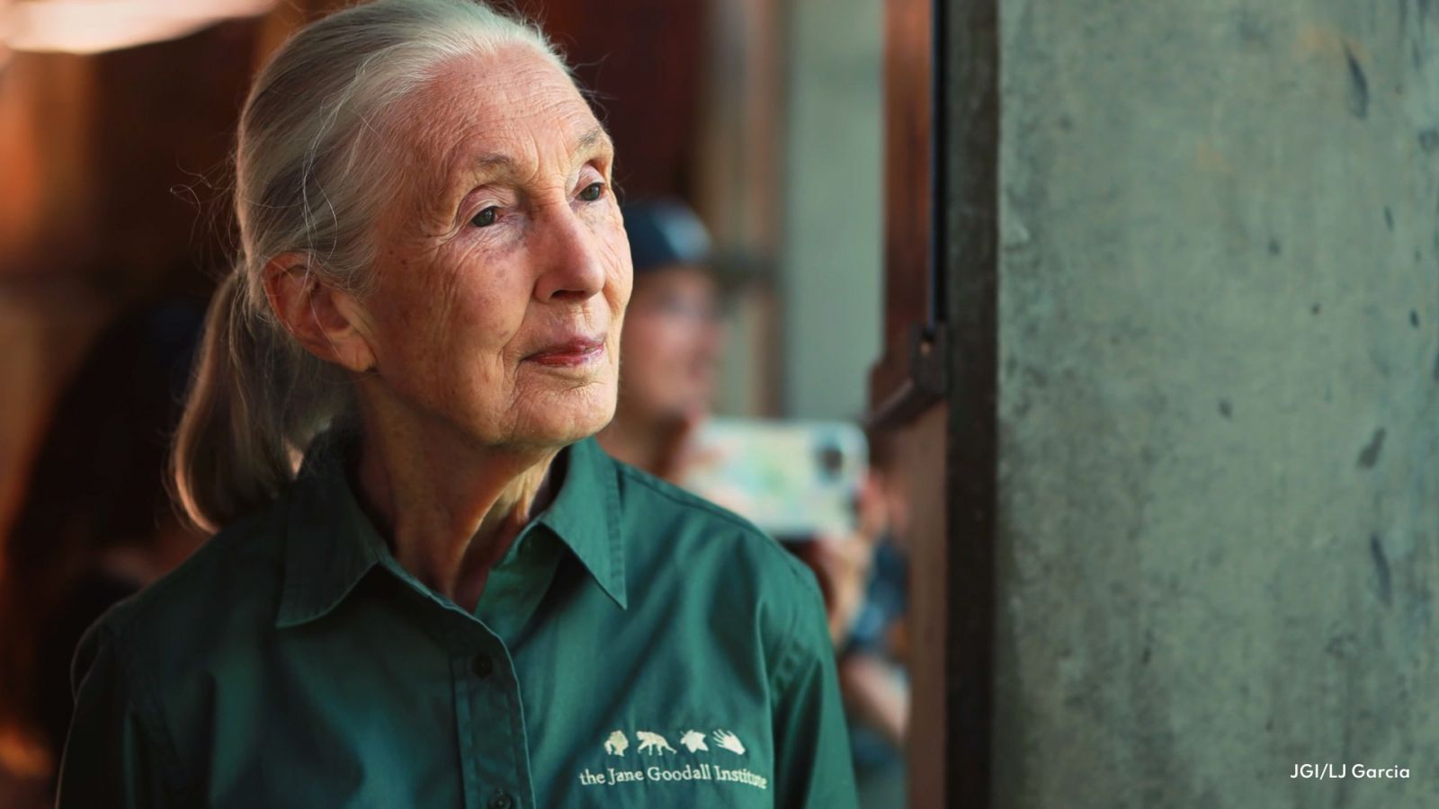 Palabras de fin de año de la Dra. Jane Goodall