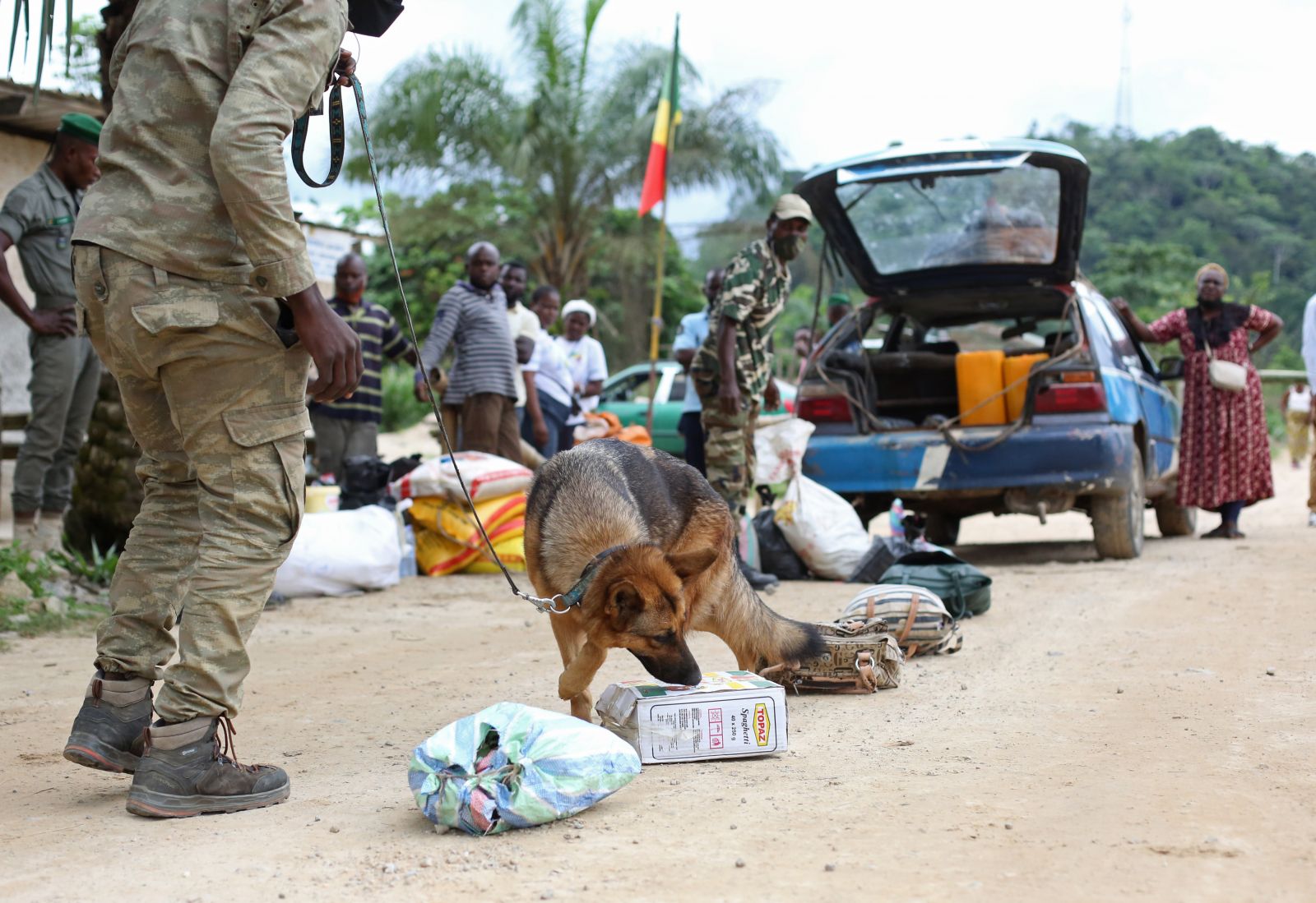 Perros españoles contra el tráfico de animales en Congo