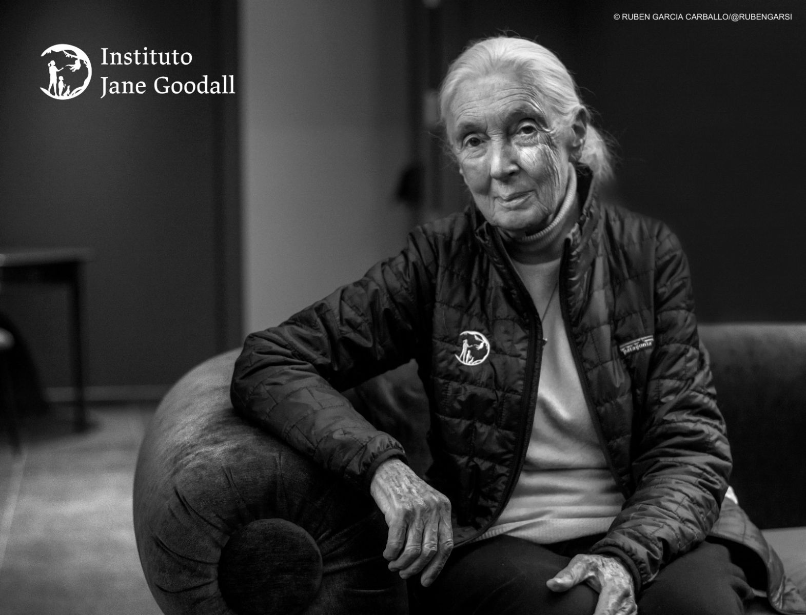 Mensaje de fin de año de la Dra. Jane Goodall