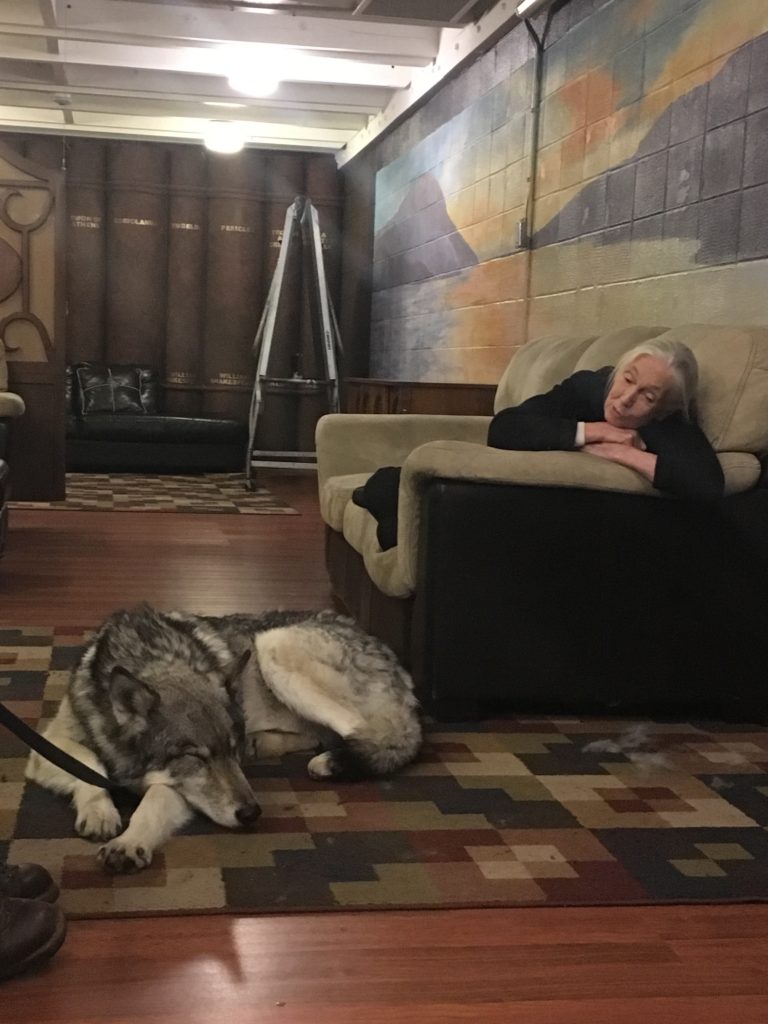 La Dra. Jane y sus amigos animales