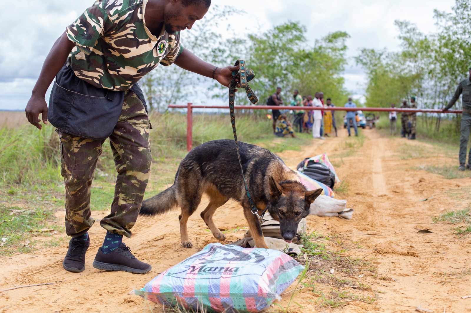 El IJG Congo busca voluntario para la unidad canina