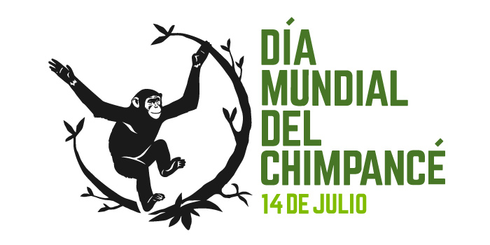 ¡Celebra con nosotros el Día Mundial del Chimpancé!