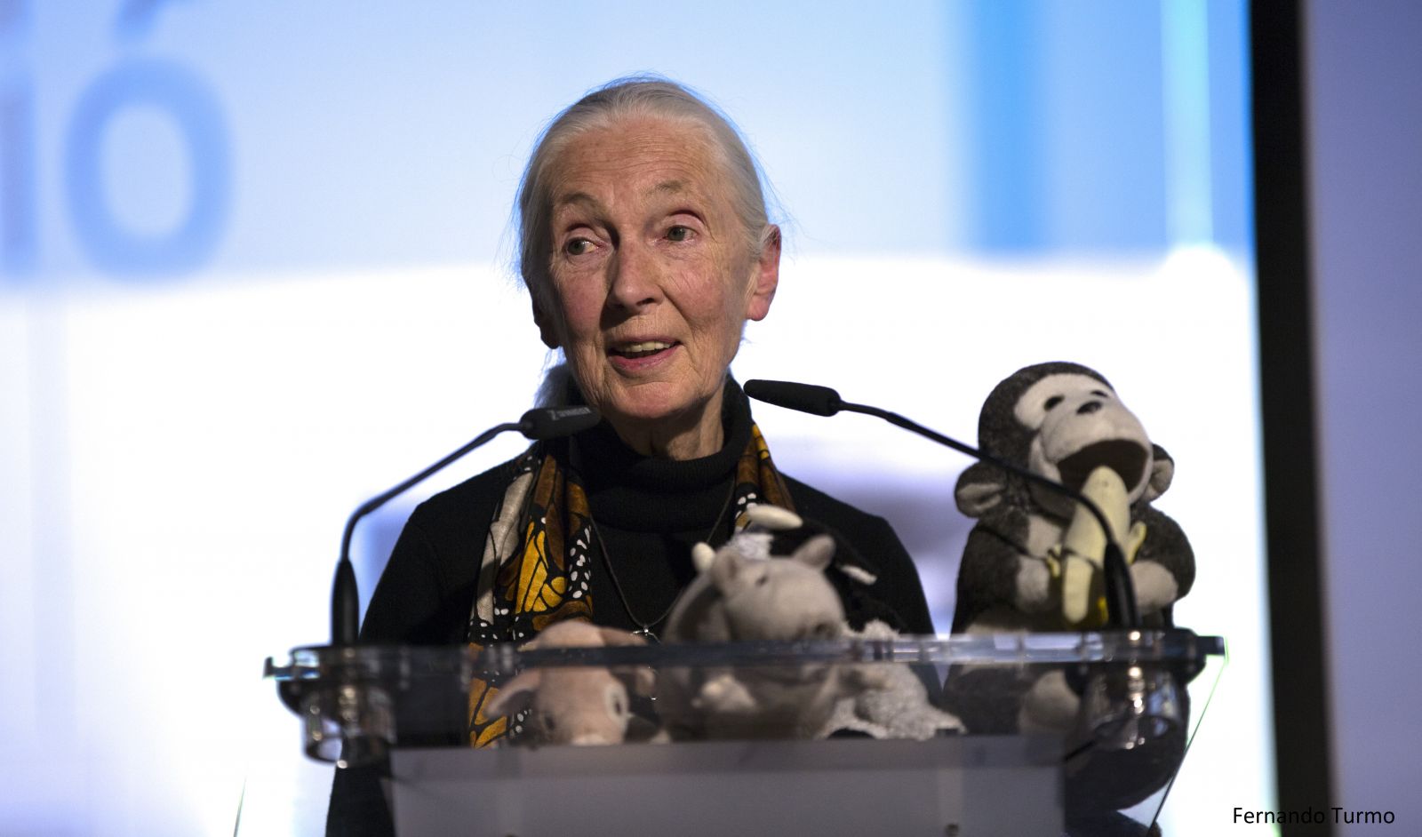 Las frases más inspiradoras de la Dra. Jane durante el 2018